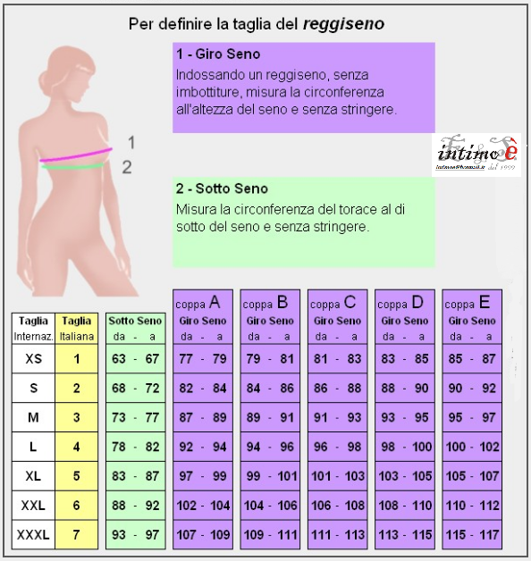 coppe reggiseno taglie